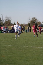 Enlarge photo 169