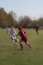 Enlarge photo 205