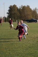 Enlarge photo 206