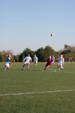 Enlarge photo 209