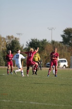 Enlarge photo 212