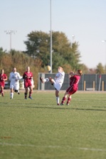 Enlarge photo 216