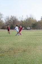 Enlarge photo 217