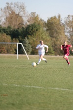 Enlarge photo 221