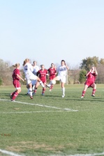 Enlarge photo 224