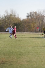 Enlarge photo 230