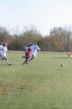 Enlarge photo 233