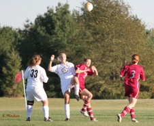 Enlarge photo 238