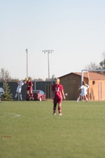 Enlarge photo 242