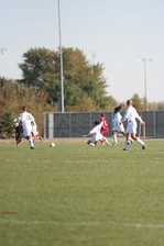 Enlarge photo 243