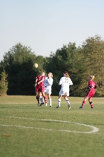 Enlarge photo 244