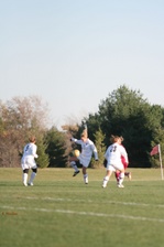Enlarge photo 245