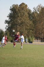 Enlarge photo 248