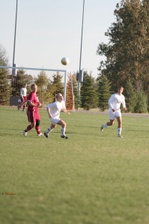 Enlarge photo 249