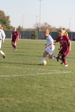 Enlarge photo 259