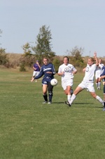Enlarge photo 43