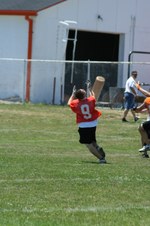 Enlarge photo 245