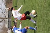 Enlarge photo 178