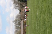 Enlarge photo 195