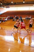 Enlarge photo 54