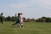 Enlarge photo 33
