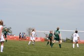 Enlarge photo 41
