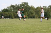 Enlarge photo 155