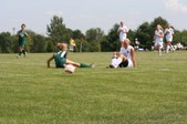 Enlarge photo 179