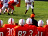 Enlarge photo 35