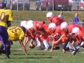 Enlarge photo 48