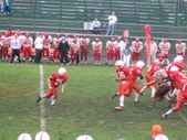 Enlarge photo 82