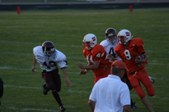 Enlarge photo 46