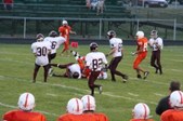 Enlarge photo 58