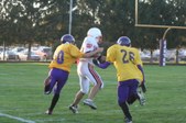 Enlarge photo 41
