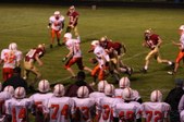 Enlarge photo 156