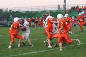 Enlarge photo 60
