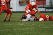Enlarge photo 64