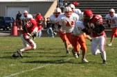 Enlarge photo 99