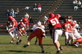 Enlarge photo 117