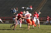 Enlarge photo 120