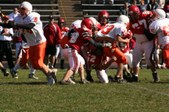 Enlarge photo 149