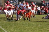 Enlarge photo 153