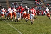 Enlarge photo 156