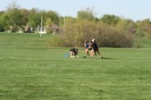 Enlarge photo 116
