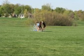 Enlarge photo 117