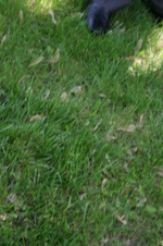 Enlarge photo 25