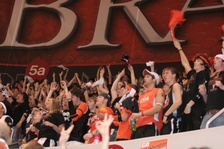 Enlarge photo 196