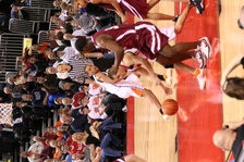 Enlarge photo 81