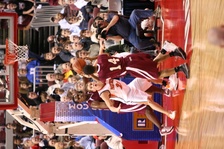 Enlarge photo 198