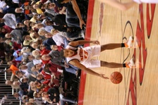 Enlarge photo 225